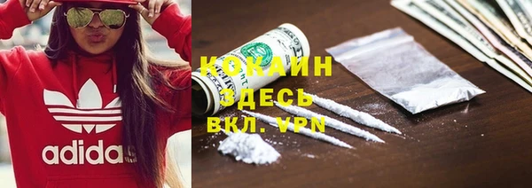 mdpv Богородск