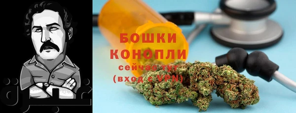 apvp Богданович