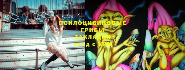 apvp Богданович