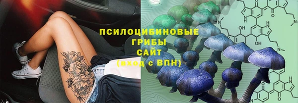 mdpv Богородск