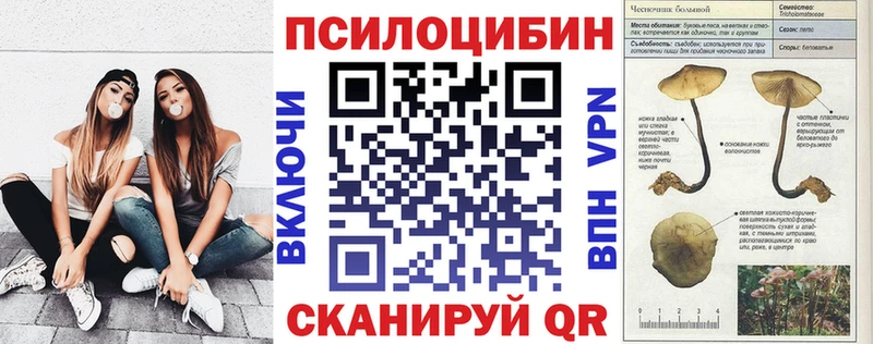 Псилоцибиновые грибы Psilocybine cubensis Волжск